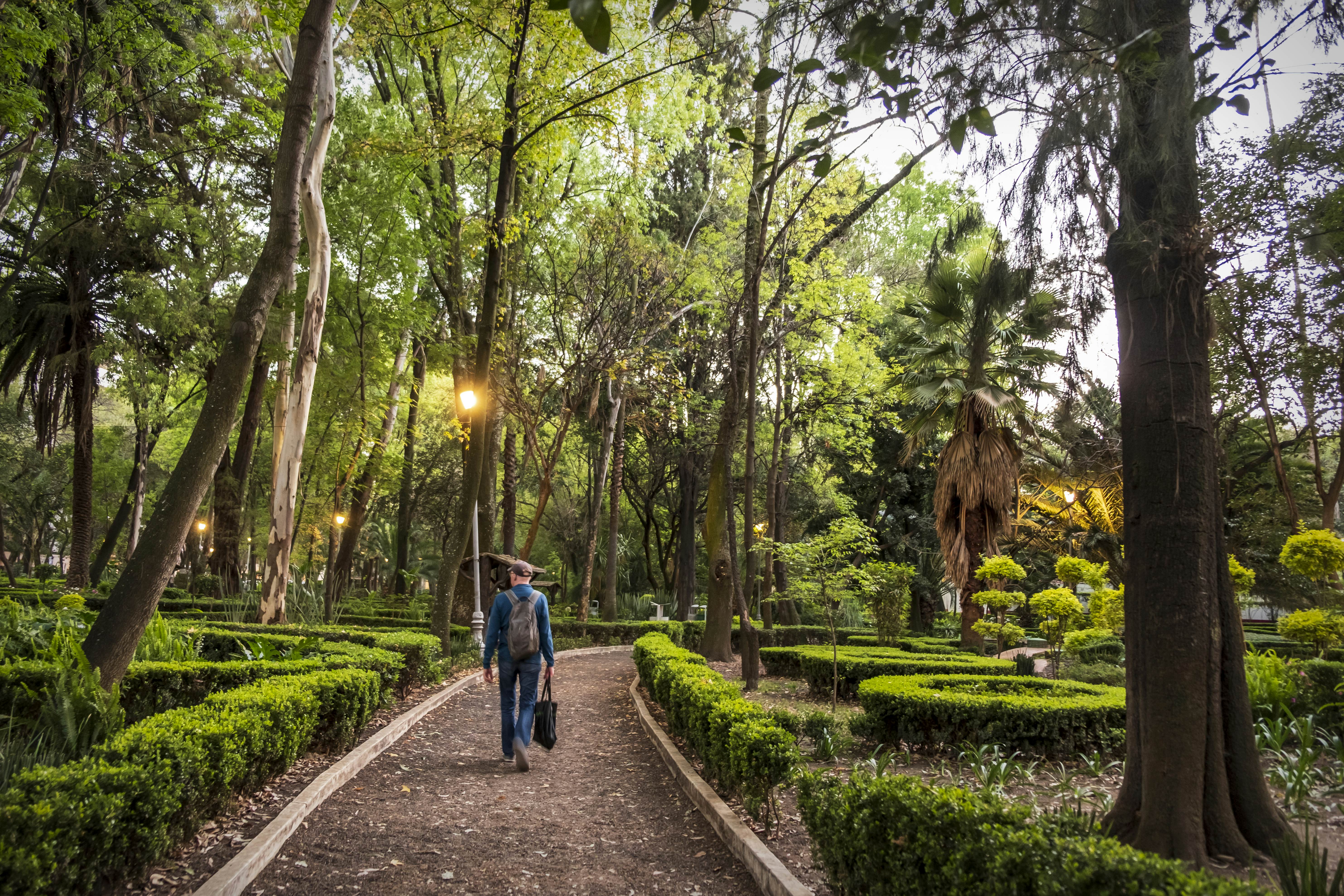 The 6 best parks in Mexico City Lonely